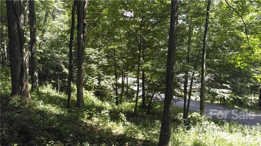 194 Blue Ridge Drive