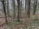 10 Cedar Drive sold home in Lenoir, SC