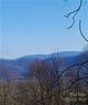6 Crystal Tree Drive sold home in Waynesville, SC