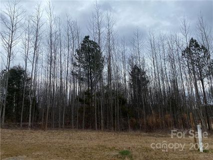3085 Brayland Avenue sold home in Weddington Acres, Matthews, NC