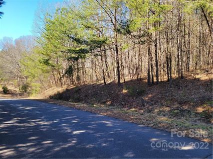0 Aberdeen Farm Drive sold home in Wilkins Forest, Rutherfordton, NC