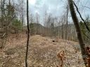 00000 Blue Rock Road 18 sold home in Hendersonville, SC
