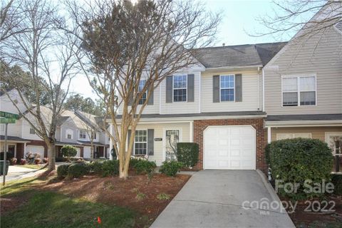 9645 Terrier Way
