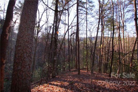 Lot 49 Round Mountain Road