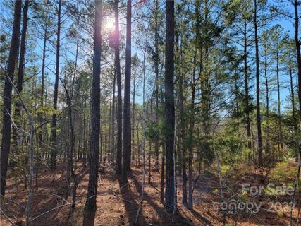4212 Persimmon Road 44