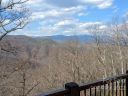 21 Ninebark Lane C-14 sold home in Black Mountain, SC