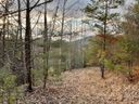 11 Hamlet Drive 11-12 sold home in Burnsville, SC