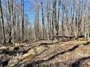 122 Whipporwill Way 165 sold home in Beech Mountain, SC