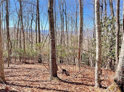 107 Boar Ridge Road
