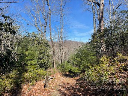 0000 Laurel Thicket Lane 100
