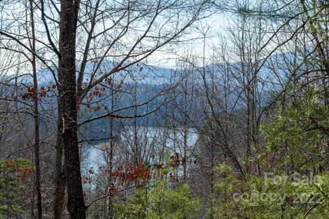 Lot 2 Highland View Lane sold home in Lake Adger North Highland Farms, Mill Spring, NC