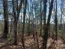 Lot 86 Volley Way sold home in Saluda, SC