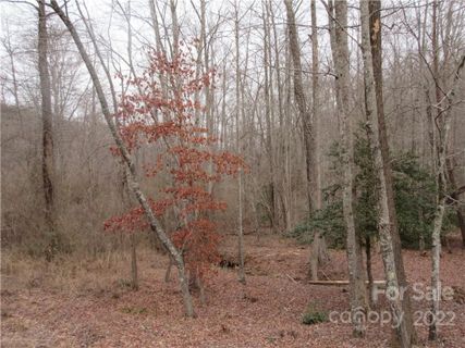 Lot 67 Big Branch Drive