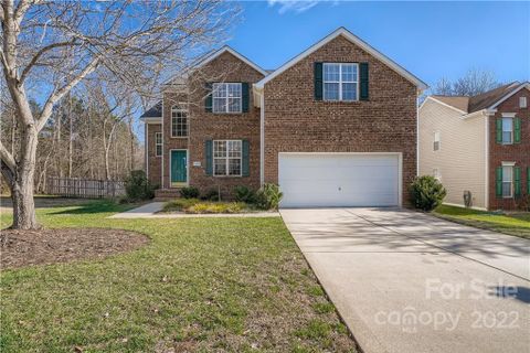 11009 Travis Gulch Drive
