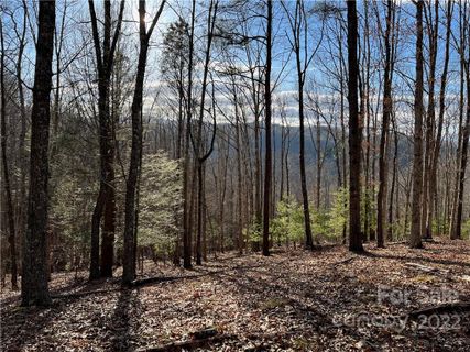 921 Wild River Run 33