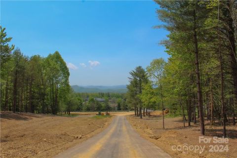000 Northview Drive 22 sold home in Northview, Hendersonville, NC