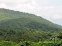 0 Rainbow Trout Drive sold home in Spruce Pine, SC
