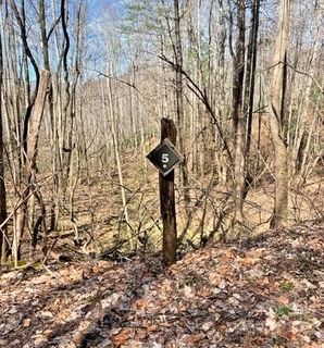 5 Preserve Road