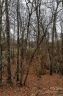 00 Horse Creek Drive 14 sold home in Mill Spring, SC