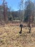 62 River Club Drive sold home in Cullowhee, SC