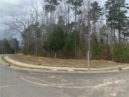 1000 Irish Creek Drive 58
