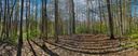 1156 Bear River Lodge Trail 61 sold home in Marshall, SC