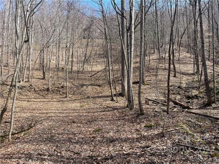 885 Stoney Stream Lane