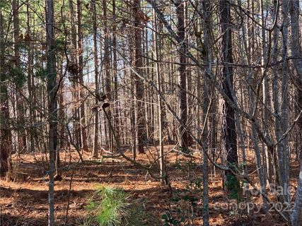 129 Water Oak Way 36