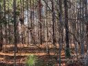 129 Water Oak Way 36 sold home in Mount Gilead, SC