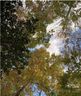 2968 Woodwind Drive sold home in Valdese, SC