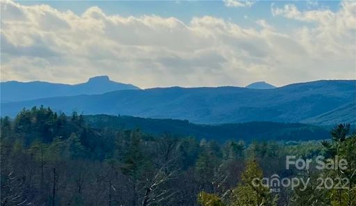 0 River Club Ridge 1020