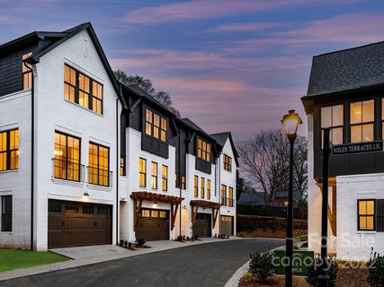 4107 Nolen Creek Avenue 17