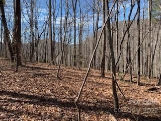 42 Acres Green River Cove Road sold home in White Water Mountain, Saluda, NC