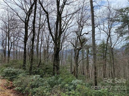 V L N Forest Drive 44 sold home in Linville Forest, Marion, NC