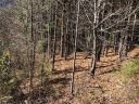 47 Tallwood Road 10 sold home in Leicester, SC