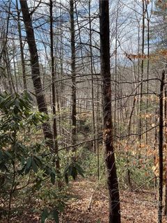 000 Turning Leaf Drive 166