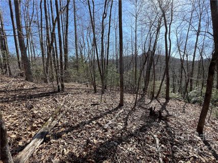 5 6 Acres Cove Road 33B sold home in Bear Track II, Black Mountain, NC