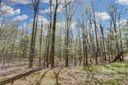 4607 Ferguson Circle 49 sold home in Waxhaw, SC
