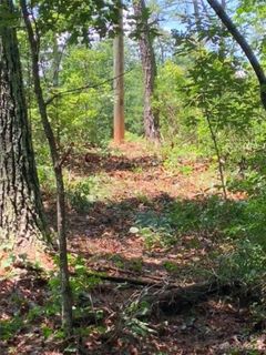 3 42 Acres Lot 1 John Wilson Lane sold home in Forest Creek, Collettsville, NC