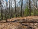 154 Laurel Thicket Drive 98 sold home in Brevard, SC