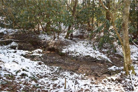 000 Carters Ridge Road sold home in Carters Ridge, Spruce Pine, NC