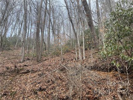 000 Chestnut Branch Road 137,138,139 sold home in Shoot Out Mountain, Bakersville, NC