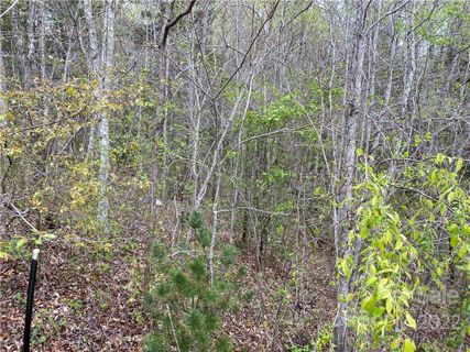12 Bayonne Trail