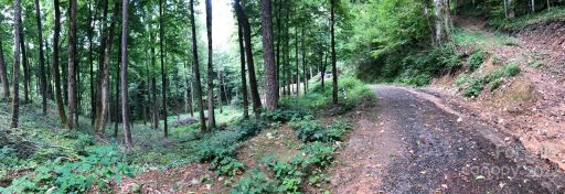 2605 Black Rock Rd Black Rock Road 32 and 33 sold home in Black Rock Creek, Cherokee, NC