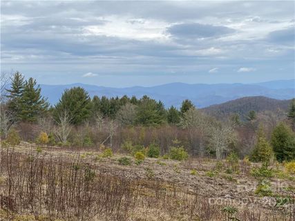 42 Ogle Meadows Road sold home in Ogle Meadows, Burnsville, NC