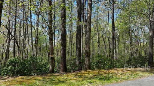 25 Poplar Crest Drive sold home in Poplar Crest, Pisgah Forest, NC