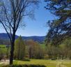 35 Cedarwood Drive sold home in Waynesville, SC