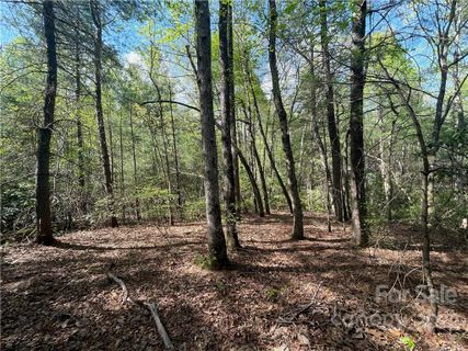103 Maple Hill Drive 54