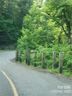 8574 Crestline Court sold home in Connelly Springs, SC