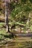4 Brookridge Lane 48 sold home in Asheville, SC